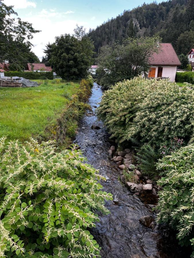 Les Ateliers Villa Gérardmer Екстериор снимка